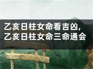 乙亥日柱女命看吉凶,乙亥日柱女命三命通会