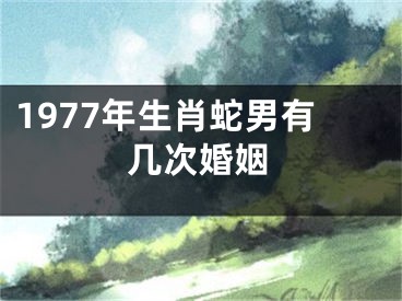 1977年生肖蛇男有几次婚姻
