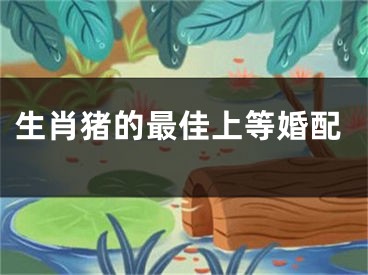 生肖猪的最佳上等婚配