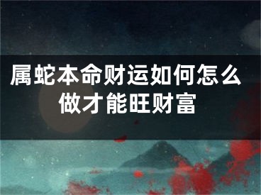 属蛇本命财运如何怎么做才能旺财富