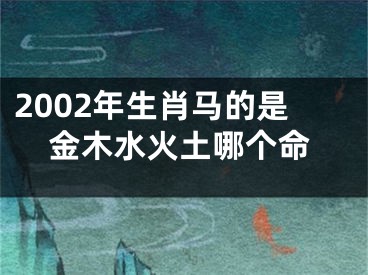 2002年生肖马的是金木水火土哪个命