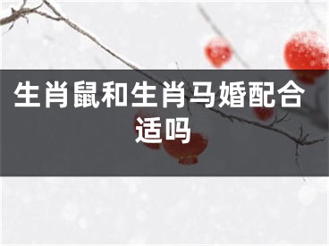 生肖鼠和生肖马婚配合适吗