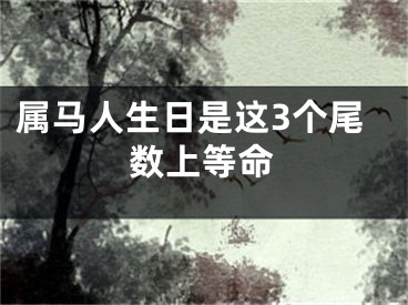 属马人生日是这3个尾数上等命