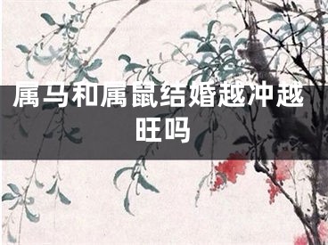 属马和属鼠结婚越冲越旺吗