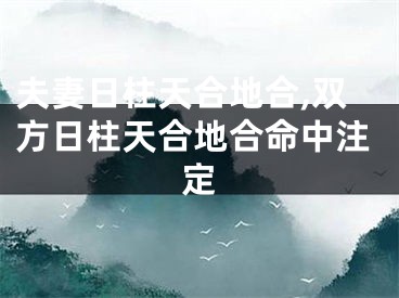 夫妻日柱天合地合,双方日柱天合地合命中注定