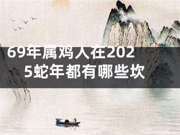 69年属鸡人在2025蛇年都有哪些坎