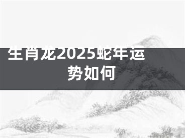 生肖龙2025蛇年运势如何