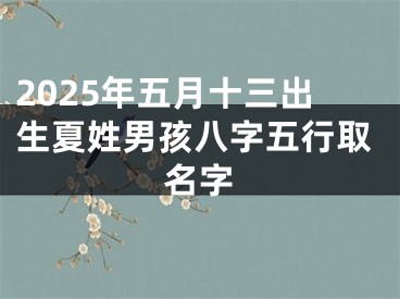 2025年五月十三出生夏姓男孩八字五行取名字