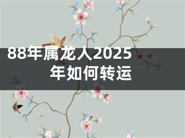 88年属龙人2025年如何转运