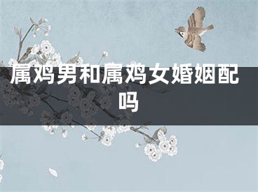 属鸡男和属鸡女婚姻配吗