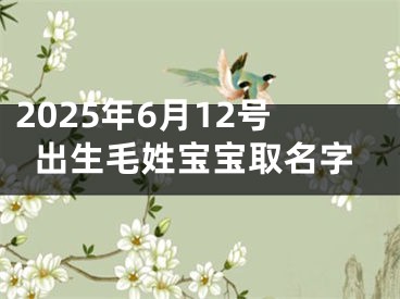2025年6月12号出生毛姓宝宝取名字