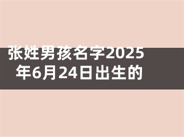 张姓男孩名字2025年6月24日出生的