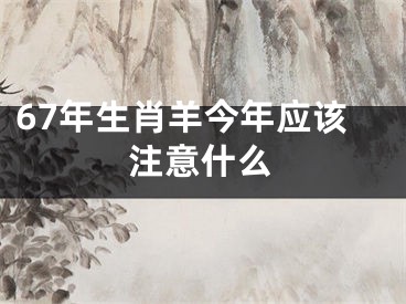 67年生肖羊今年应该注意什么