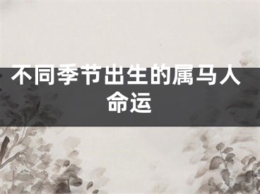 不同季节出生的属马人命运