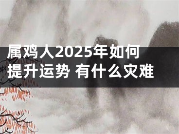属鸡人2025年如何提升运势 有什么灾难