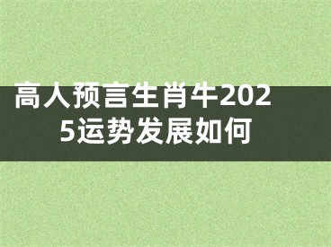 高人预言生肖牛2025运势发展如何