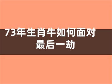 73年生肖牛如何面对最后一劫