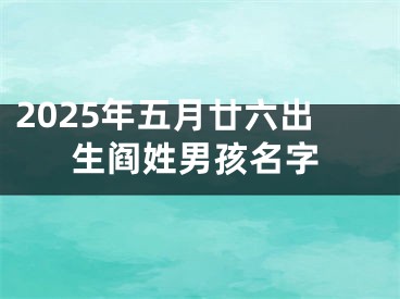 2025年五月廿六出生阎姓男孩名字 