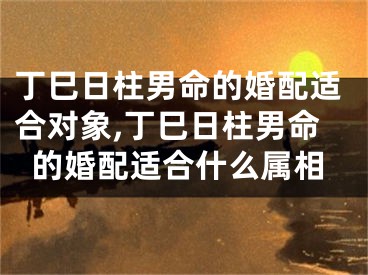 丁巳日柱男命的婚配适合对象,丁巳日柱男命的婚配适合什么属相