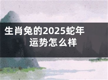 生肖兔的2025蛇年运势怎么样