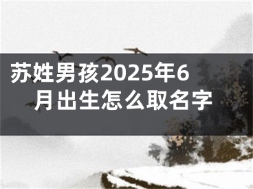 苏姓男孩2025年6月出生怎么取名字