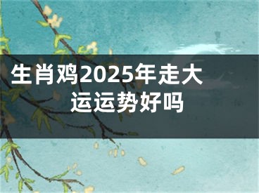 生肖鸡2025年走大运运势好吗