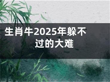 生肖牛2025年躲不过的大难