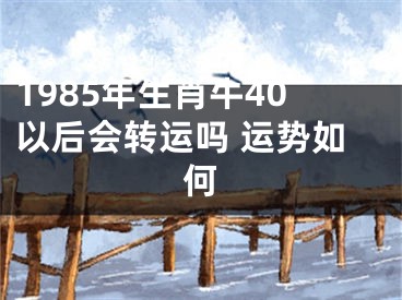 1985年生肖牛40以后会转运吗 运势如何