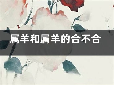 属羊和属羊的合不合