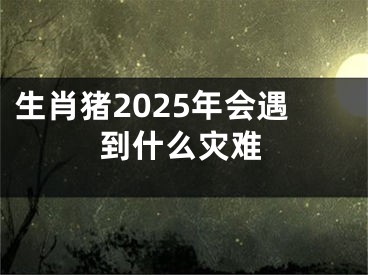 生肖猪2025年会遇到什么灾难