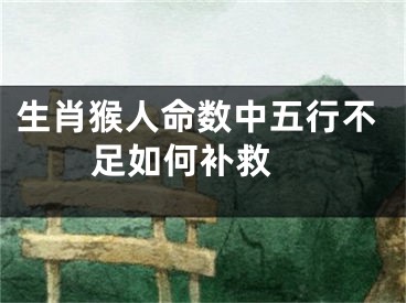 生肖猴人命数中五行不足如何补救 