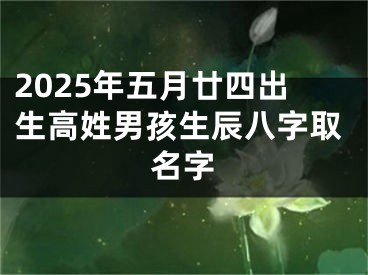 2025年五月廿四出生高姓男孩生辰八字取名字