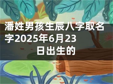 潘姓男孩生辰八字取名字2025年6月23日出生的