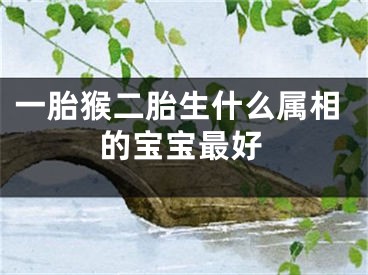 一胎猴二胎生什么属相的宝宝最好