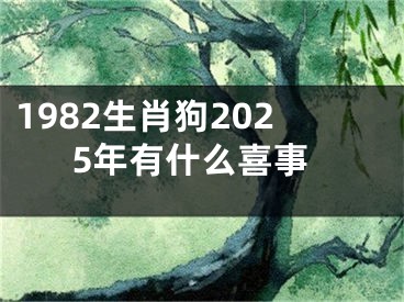 1982生肖狗2025年有什么喜事
