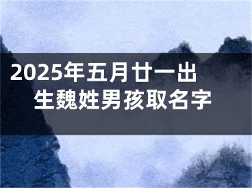 2025年五月廿一出生魏姓男孩取名字