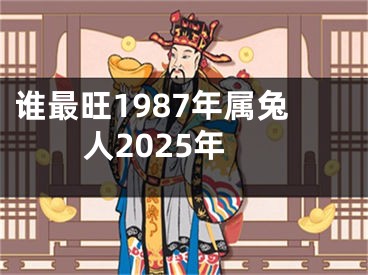 谁最旺1987年属兔人2025年