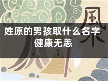 姓原的男孩取什么名字健康无恙