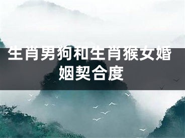 生肖男狗和生肖猴女婚姻契合度
