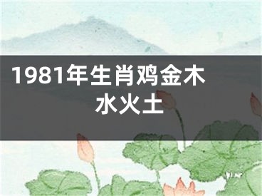1981年生肖鸡金木水火土