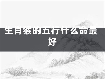 生肖猴的五行什么命最好