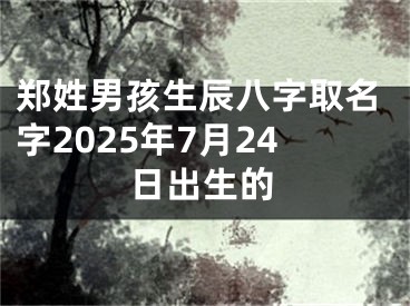 郑姓男孩生辰八字取名字2025年7月24日出生的