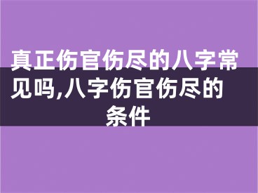 真正伤官伤尽的八字常见吗,八字伤官伤尽的条件