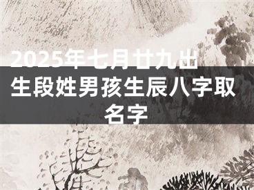 2025年七月廿九出生段姓男孩生辰八字取名字