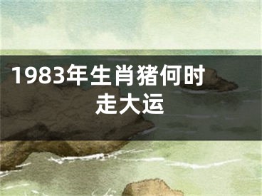 1983年生肖猪何时走大运
