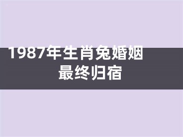 1987年生肖兔婚姻最终归宿