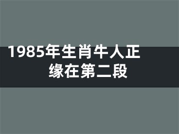 1985年生肖牛人正缘在第二段