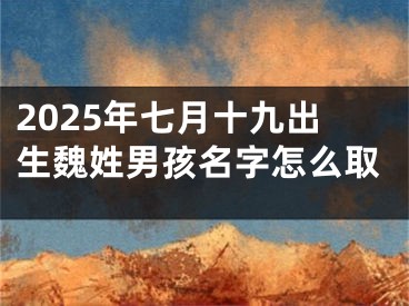 2025年七月十九出生魏姓男孩名字怎么取