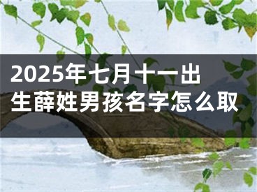2025年七月十一出生薛姓男孩名字怎么取
