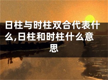 日柱与时柱双合代表什么,日柱和时柱什么意思